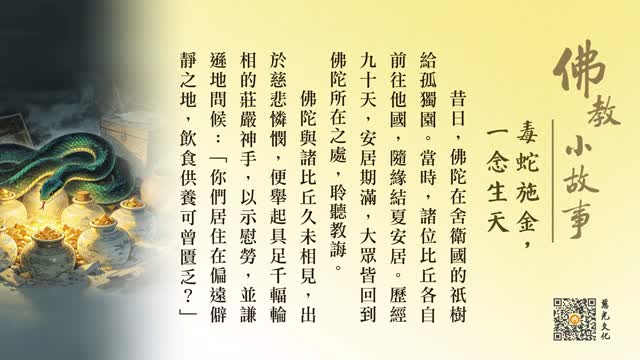 毒蛇施金，一念生天-第256集